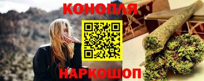 спиды Камышлов