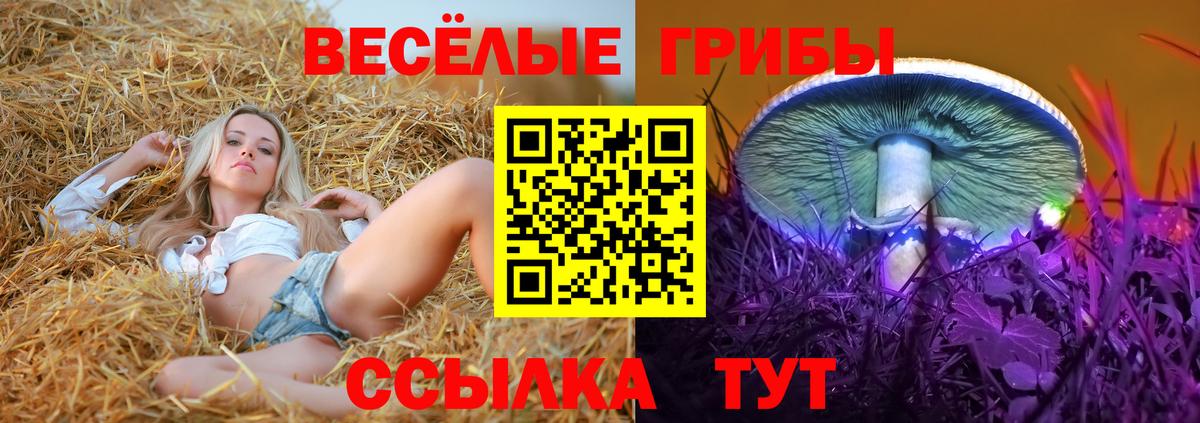 Псилоцибиновые грибы Psilocybine cubensis  где продают наркотики  Арзамас  Вход с VPN 